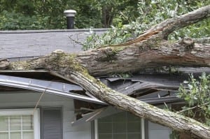 Repair of storm damage roof