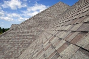 roofing contractor