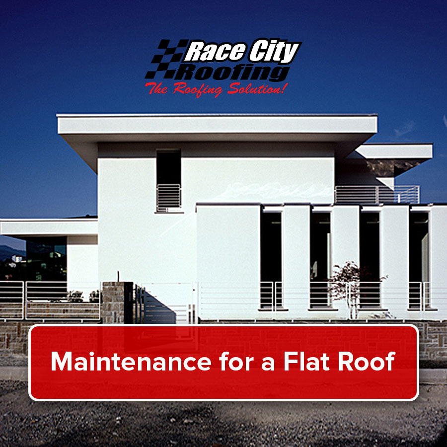 Maintenance for a Flat Roof
