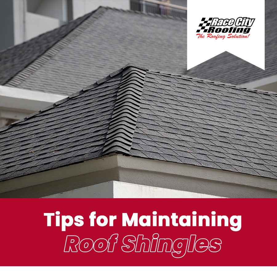 Tips for Maintaining Roof Shingles