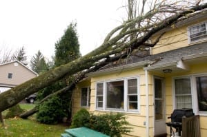 Wind Damaged Roofs, Gastonia, NC