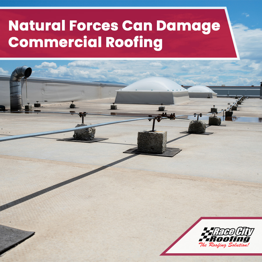 Different Natural Forces Can Damage Your Commercial Roofing
