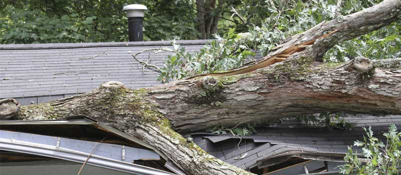 Storm Damaged Roofs in Huntersville, North Carolina