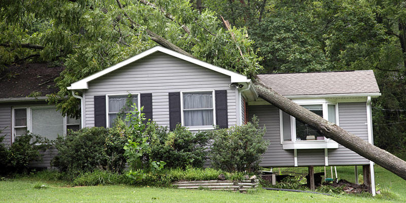 Storm Damaged Roof? We Can Help!