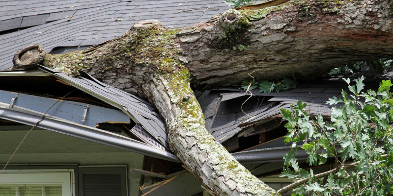 Four Common Causes of Storm-Damaged Roofs